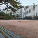 공설운동장길(공설운동장) 네이버블로그