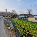 사정2동 이미지