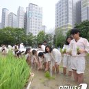 법인마들 이미지