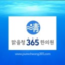 맑을청