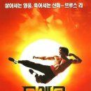 드래곤(dragon) 이미지