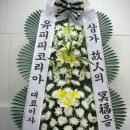 (주)유피피코리아