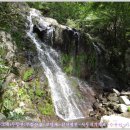 이서면 이서초등학교 이미지