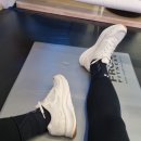 에스제이리 이미지