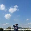 나이스가이 이미지