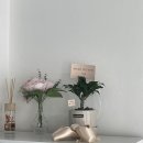 [더클래식 발레 스튜디오] 용산구 효창동 원효동 성인 취미 발레 추천 🩰