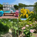 인천대공원 내 | 인천 가볼만한곳 인천대공원 장미원 호수 둘레길 코스