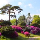구계천 | 경북여행 영주 유명한절 부석사 국내조용한여행지 조사당 선비화가 피었어요