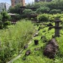 뜨락공원3 이미지