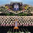 송호범 카카오 검색결과