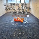 가람스테이4 | 가평 풀빌라 고급 독채 애견펜션 남이섬 앞 풀스테이 스테이온