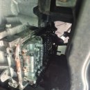 TG모터스 이미지