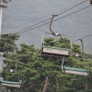 지산주 이미지