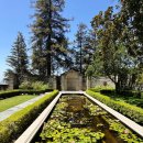 대부힐스 | LA 여행] 영화 속 그 장소! 베벌리 힐스의 숨겨진 보석, 도헤니 그레이스톤 맨션 방문 후기