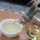 오늘은녹차