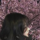 CW-1507-01 | 168~178cm가 입으면 2배 잘생겨지는 여름 코디세트 5가지 추천해줄게요!