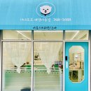 허니모모 애견미용실 이미지