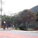 새별따라