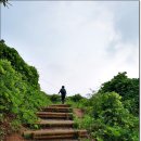 괴곡성벽길 이미지