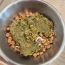 저단28 | 노견 단백질 식단, 오해와 진실 노견 사료 단백질 기준 총정리