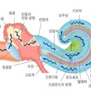 메디칼사운드 이미지