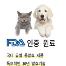 지림 이미지
