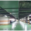 하단동1003 이미지