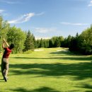 대지골프 이미지