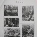 북면카 공업사 이미지