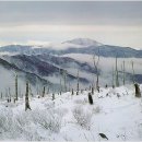 금수강산 이미지