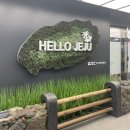 제주제비스테이 | [제주] 여유로운 제주 동쪽 힐링 여행