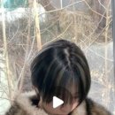 에이디피 이미지