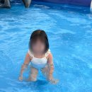 베베키즈팜 | 인천 근교 아기랑 갈만한곳 야외 수영장 오픈한 베베팜 키즈카페 주말 나들이 대만족 후기
