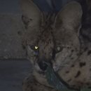 정상호 농장 이미지