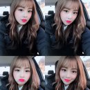 채원 이미지
