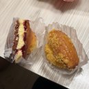 신촌15길 31, (지현동) | 2025년 9월 2편