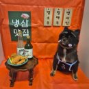 해오름 동물병원 | [성남 애견미용] 성남 단대오거리 애견미용 ‘멍균관대’ (주차, 미용후기)