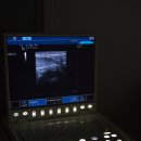 호평동물병원 이미지