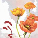 캘리그라피 활용 이미지