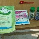 동해종묘사 이미지