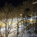 샵넘버원 이미지