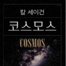 코스모스작은도서관 네이버블로그