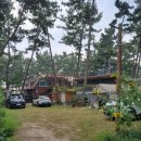 파인우드비치 이미지