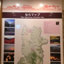 디오션시티 세탁나라 | 일본 '나라(奈良)' 3박 4일 자유여행 #7 JR 나라 역 인접 <나라 닛코 호텔 (Hotel Nikko Nara)> 후기