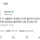 전막창 Daum카페