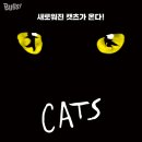 캣츠 이미지