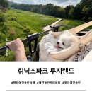 강원게임랜드 | [평창 애견동반 여행] 휘닉스파크 루지랜드 강아지 동반탑승 후기(+실내 즐길거리)