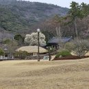 운림산방주차장 이미지