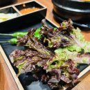 더맛있는족발보쌈충주 이미지