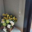 로그인 하도 이미지